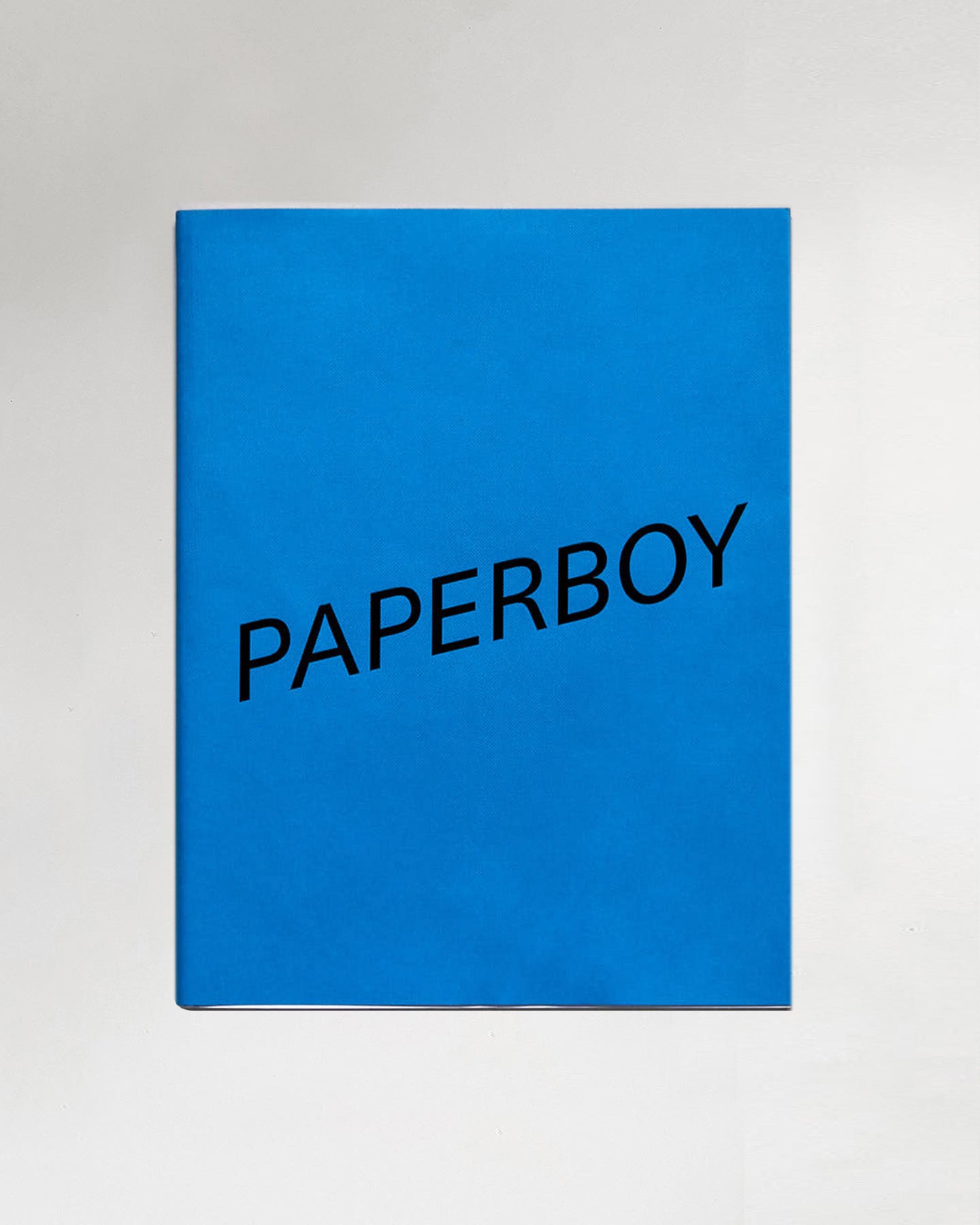 Paperboy Issue 5 Cover