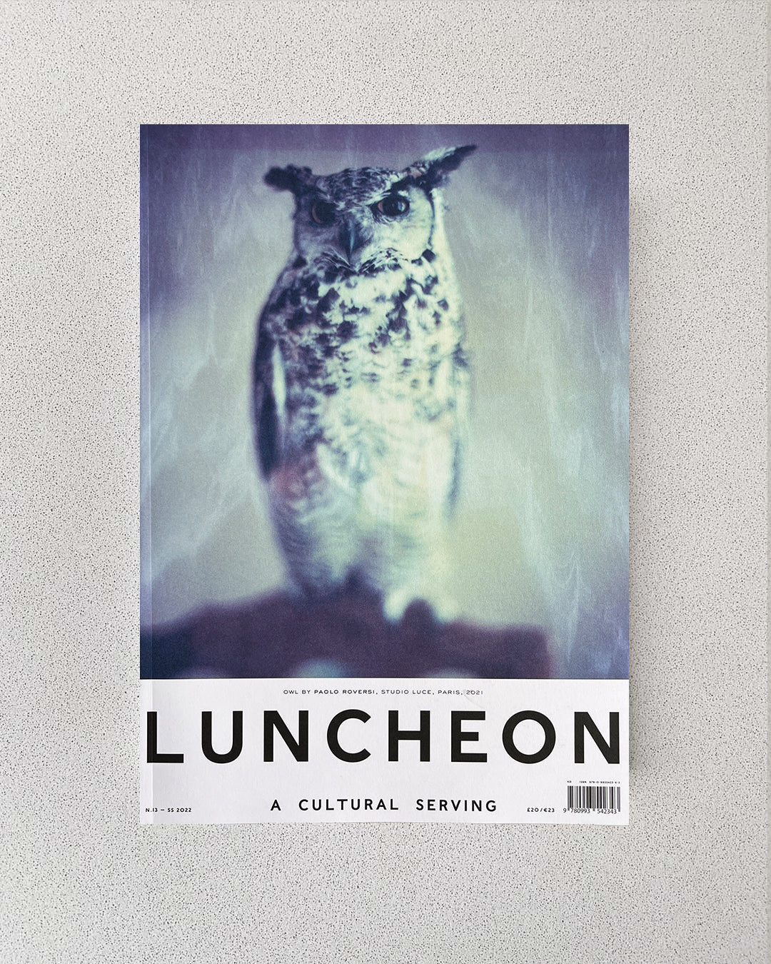 LUNCHEON Issue 13