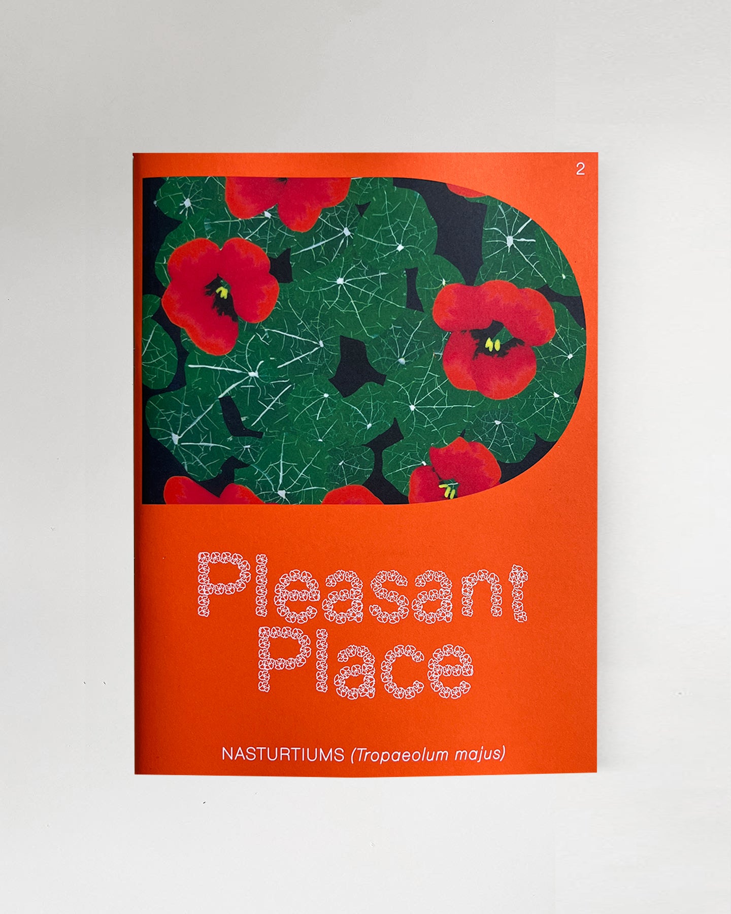 Pleasant Place , Issue 2 Cover