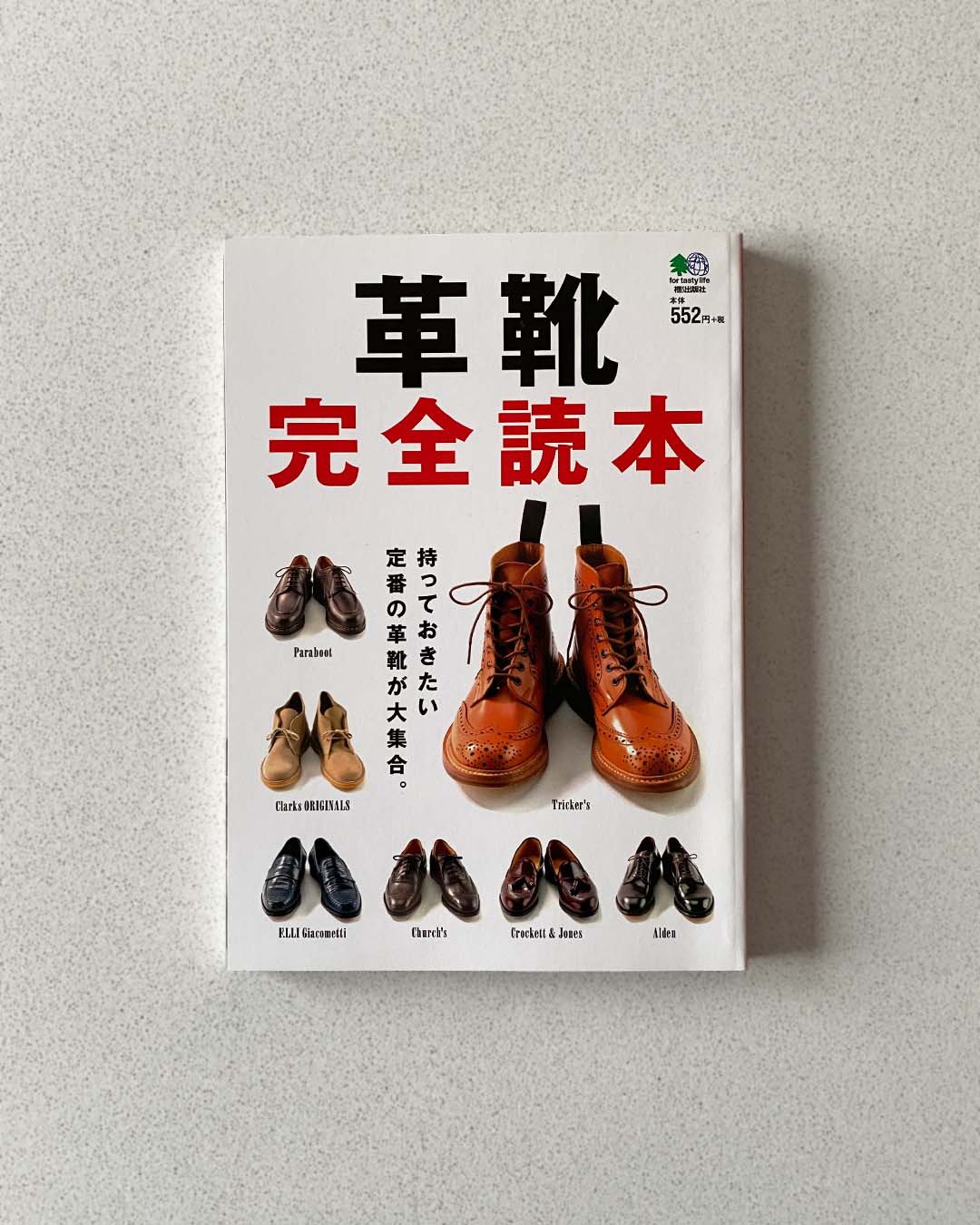Front Cover of Lightning Leather Shoes